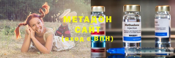прущие грибы Михайловка