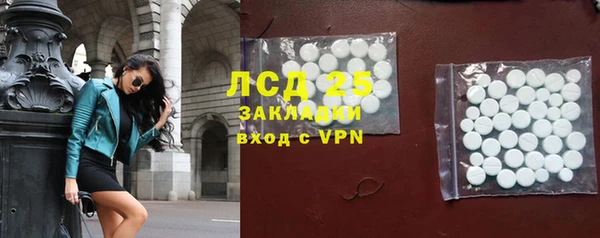 прущие грибы Михайловка