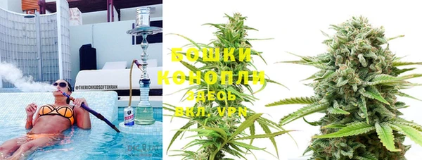 амф Надым