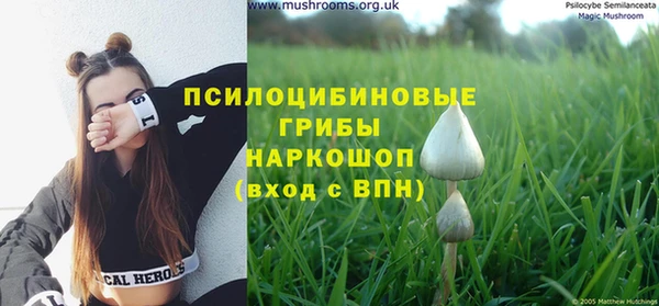 амф Надым