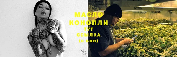 амф Надым