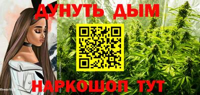 альфа пвп Волгодонск