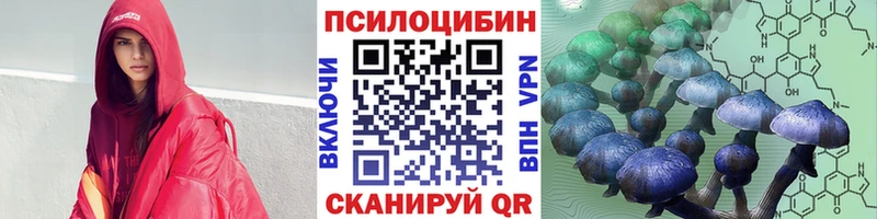 где купить наркотик  Морозовск  Галлюциногенные грибы Magic Shrooms 