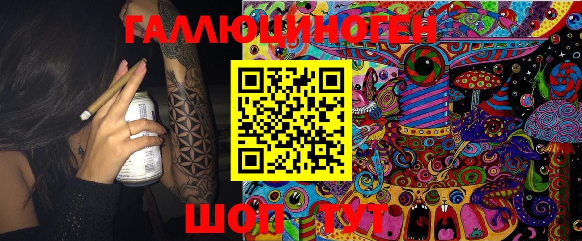 Псилоцибиновые грибы Psilocybe  Морозовск  Псилоцибиновые грибы Psilocybe 