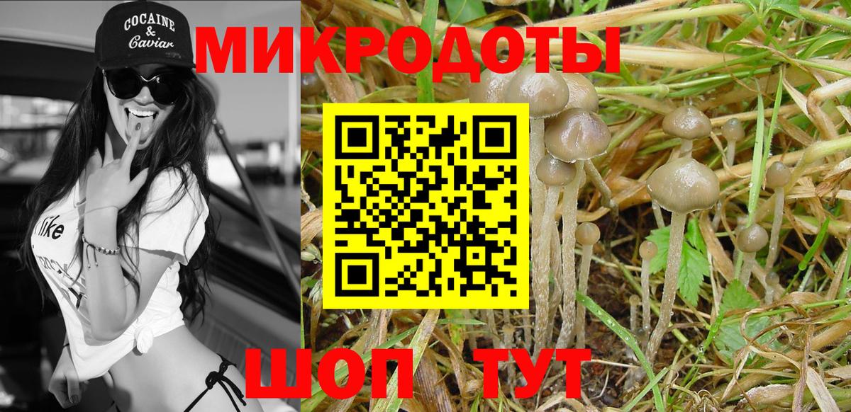 А ПВП Морозовск
