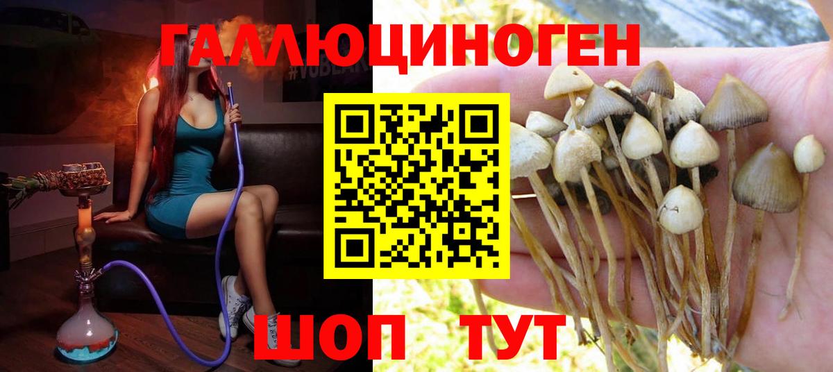 Псилоцибиновые грибы GOLDEN TEACHER Морозовск