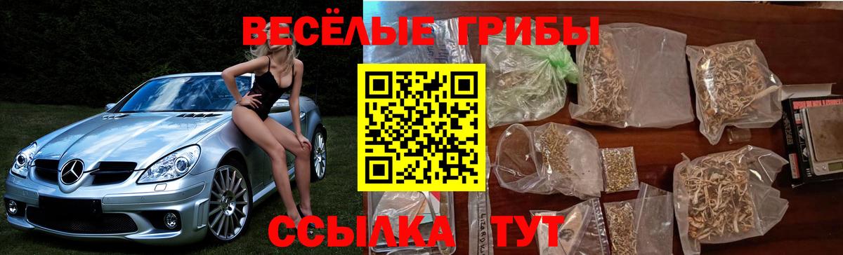 Морозовск  Псилоцибиновые грибы мухоморы  Вход с VPN 