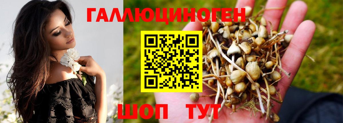 Псилоцибиновые грибы MAGIC MUSHROOMS Морозовск
