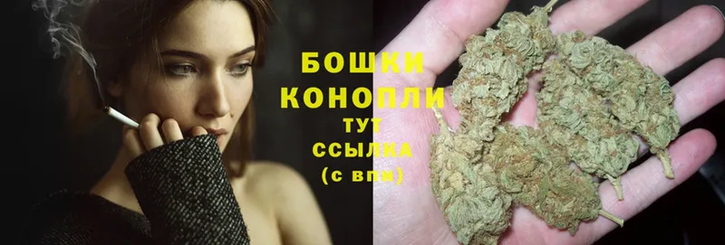 Конопля White Widow  МЕГА рабочий сайт  Морозовск 